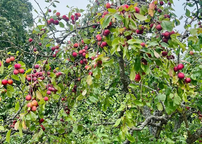 Modern 7br Вилла